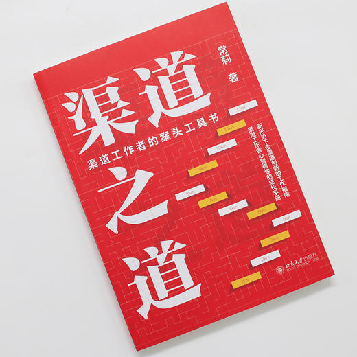 渠道之道：渠道工作者的案头工具书 常莉 著 北京大学出版社 商品图2