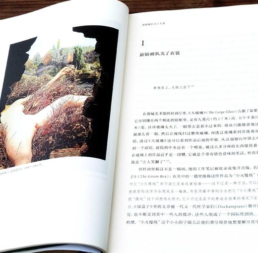 绝版！！《杜尚》，布面平装，[美]卡尔文.汤姆金斯著，武汉大学出版社2019年一版，588页，定价128，售价88元。 商品图7