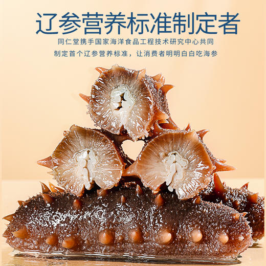 【正宗同仁堂品牌】北京同仁堂 即食海参安心装500克（10只）固形物75%巴氏杀菌 保留更多营养SY 商品图5