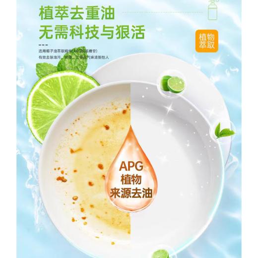 自营（菲小主）-爱舍儿青柠 生姜洗洁精大瓶特惠厨房清洁洗碗果蔬食品用 商品图4