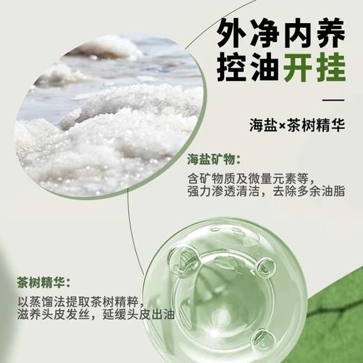 Befe 不凡 茶树控油蓬松洗发水 450ml 商品图3