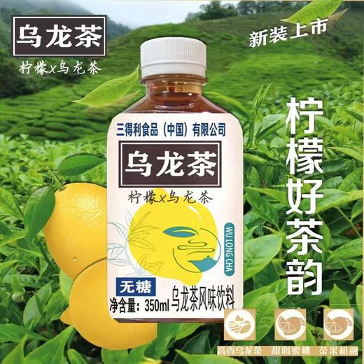 三得利乌龙茶一箱 商品图4