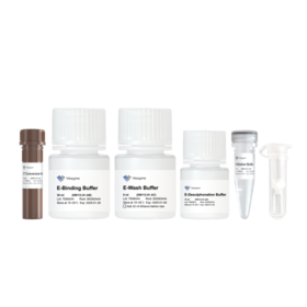 EpiArt Ultrafast DNA Methylation Bisulfite Kit