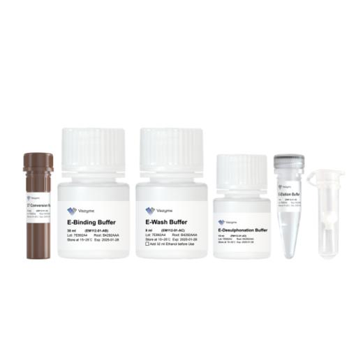 EpiArt Ultrafast DNA Methylation Bisulfite Kit 商品图0