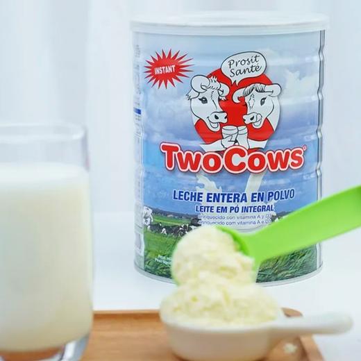【保税区包邮直发】荷兰 TowCows双牛 全脂/脱脂奶粉 商品图4