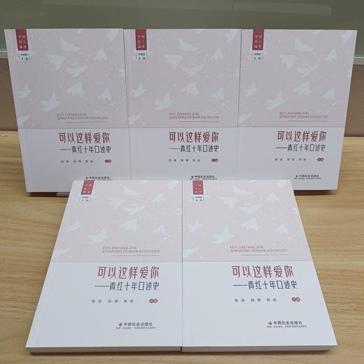 可以这样爱你：青红十年口述史 商品图4