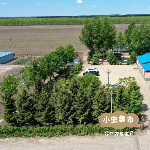 有机豆浆粉 25g*10包  | 合作农友生产，黑龙江绥化市，生产者：刘福财 &【公平贸易农人定价】 商品图8