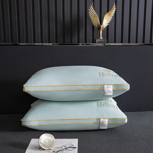 全棉A类母婴级枕芯五星级酒店大豆纤维枕头宾馆成人学生护颈椎枕全面酒店枕芯 商品图7