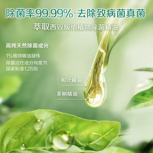 立白丨卫仕除菌洗衣液 2KG*1瓶 商品图2