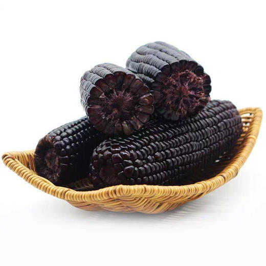 沽源县 坝莜域熟制甜糯黑玉米 200g*6穗 商品图0