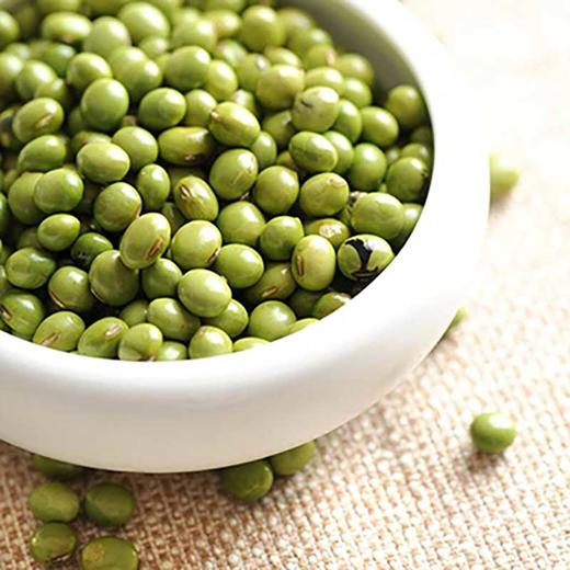 沽源县 坝莜域绿豆大包装2.5kg 商品图0