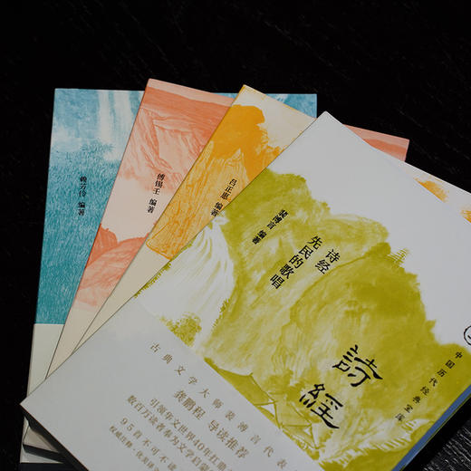 中国历代经典宝库·古诗词课，全4册 影响华人世界三代读者，数百万读者的文学启蒙书 商品图6