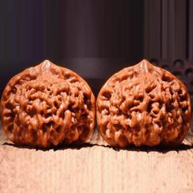 手盘官帽文玩核桃 皮质细腻 颜色纯正