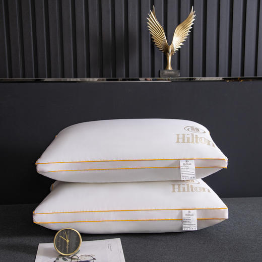 全棉A类母婴级枕芯五星级酒店大豆纤维枕头宾馆成人学生护颈椎枕全面酒店枕芯 商品图6