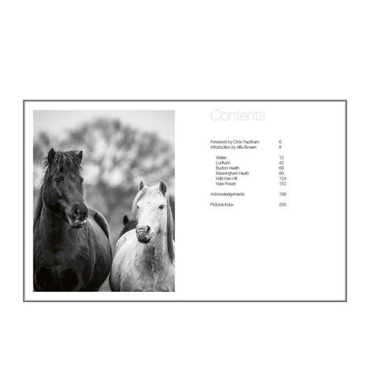 【预订】Wild Horses | 野马 动物肖像摄影集 商品图1