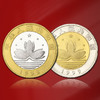 香港、澳门回归纪念币+邓小平纪念币套装 封装评级版 商品缩略图6