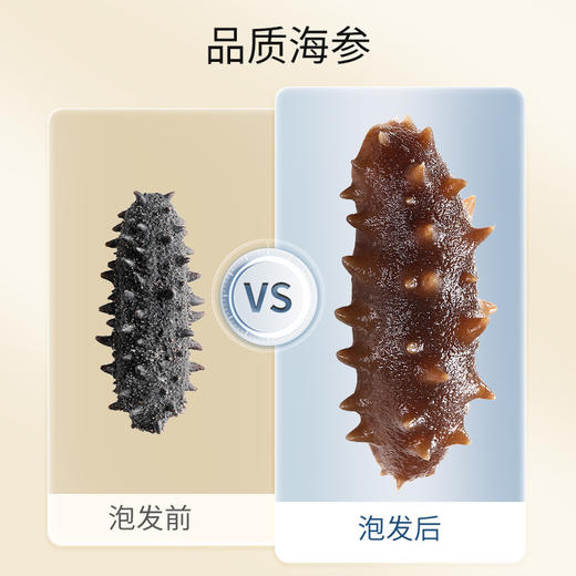 【正宗同仁堂品牌】北京同仁堂 净制海参干海参65克(121-150头/500克) 去砂嘴 去内脏 严格控盐 品质严选SY 商品图3