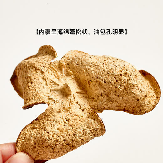 极盏新会天马陈皮   无苦涩味 可泡水可去腥   真年份 商品图5