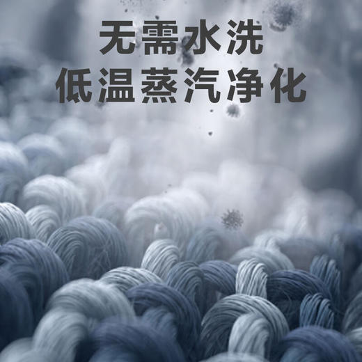 西门子（SIEMENS）10KG大容量洗烘一体洗衣机 羽绒服洗烘 智能除渍立体烘干干衣即停一级能效WJ25GLU04W 商品图1