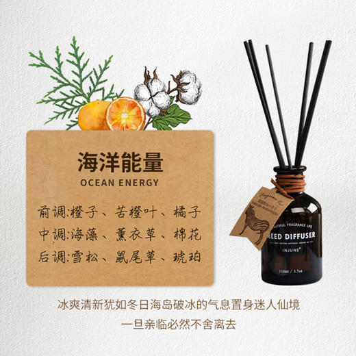 INJUNE无火藤条香薰精油植物香氛室内家用持久淡香房间空气清新 商品图3