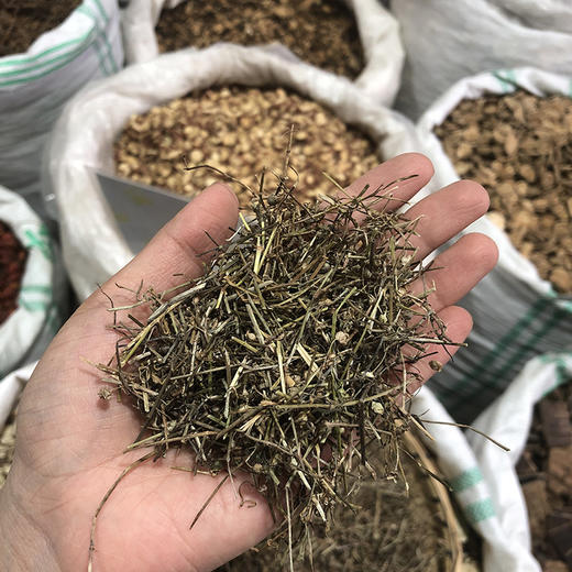 白花蛇舌草 净货切段 商品图4