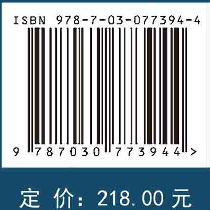 集合滤波数据同化方法及其应用 商品图2