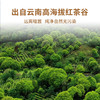 【积分兑换】澜沧古茶2024年小红盒云南滇红高山红茶品鉴装27g（茉莉红+古韵红+云岚红+柠檬红+桂花红+荔枝红） 商品缩略图4