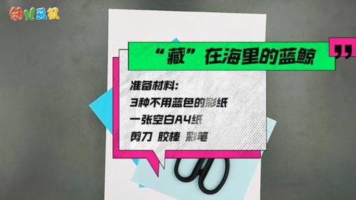 2024年7月 “藏”在海里的蓝鲸 商品图0