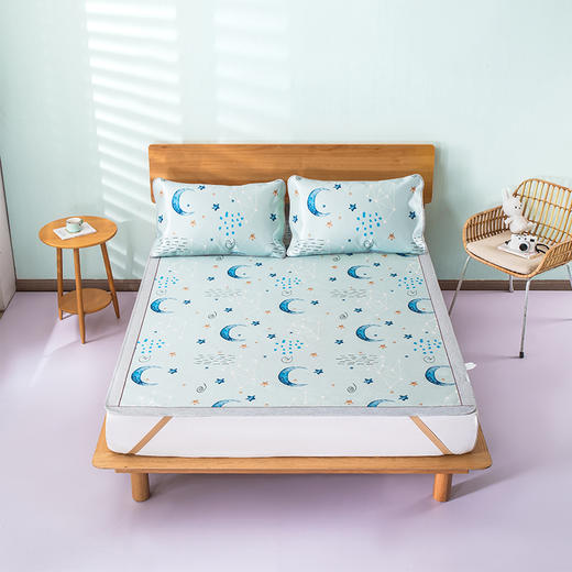 【维科家纺】印花冰丝席二/三件套 商品图0