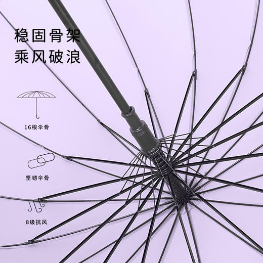 16骨加固雨伞  晴雨两用加固防风 商品图2