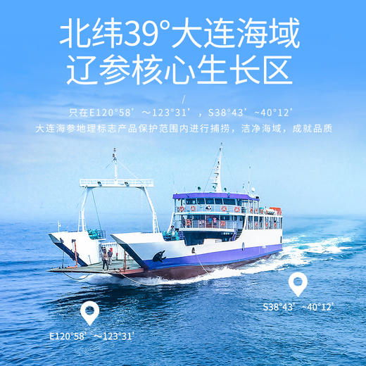 【正宗同仁堂品牌】北京同仁堂 即食海参安心装500克（10只）固形物75%巴氏杀菌 保留更多营养SY 商品图2