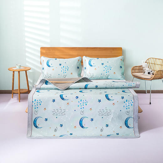 【维科家纺】印花冰丝席二/三件套 商品图1