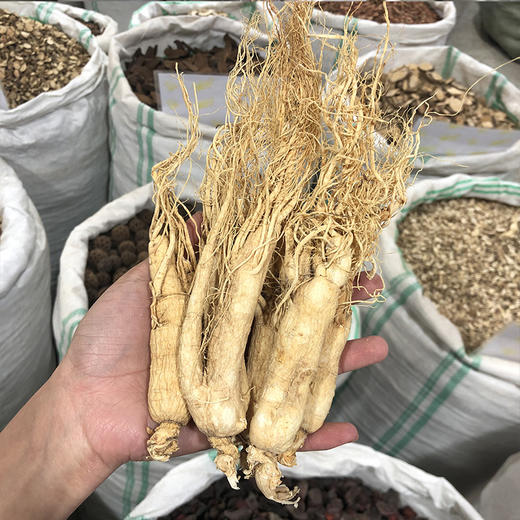 人参   中大支  人参片切片 长白山正宗人参 白晒参 生晒参 商品图1