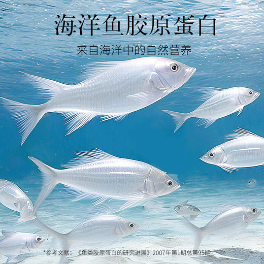 【正宗同仁堂品牌】北京同仁堂 白燕丝胶原蛋白冰糖即食燕窝2520克（70g*36瓶）家庭囤货装固体物含量≥15%手工精挑SY 商品图3