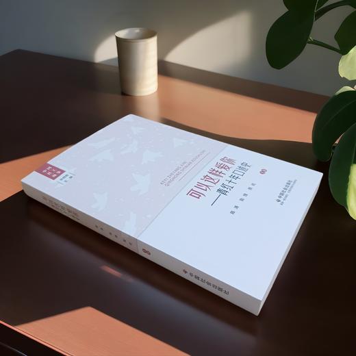 可以这样爱你：青红十年口述史 商品图2