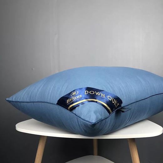 全棉A类母婴级枕芯五星级酒店大豆纤维枕头宾馆成人学生护颈椎枕全面酒店枕芯 商品图5