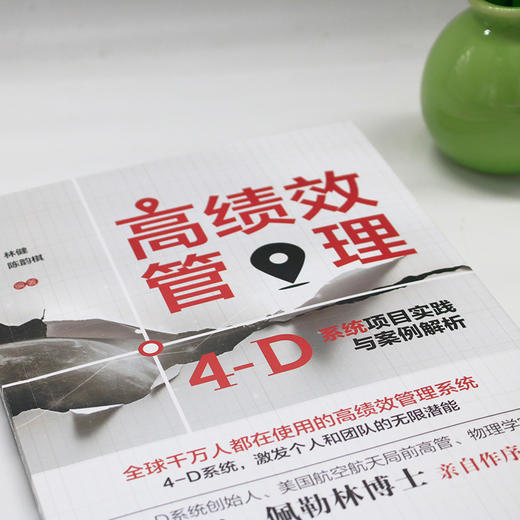 高绩效管理：4-D系统项目实践与案例解析 林健 陈韵棋 编著 北京大学出版社 商品图4
