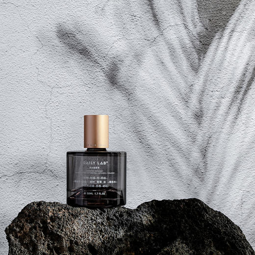 DAILY LAB 正气无火香氛轻奢卧室内祛异味香薰 商品图6