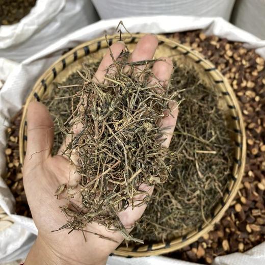 云南白花蛇舌草 商品图2