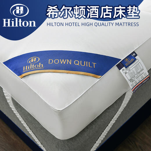 希尔顿酒店立体床垫可折叠垫子可裸睡学生宿舍舒适柔软软床垫褥子 商品图3