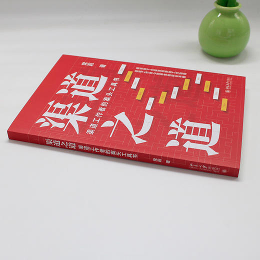 渠道之道：渠道工作者的案头工具书 常莉 著 北京大学出版社 商品图3