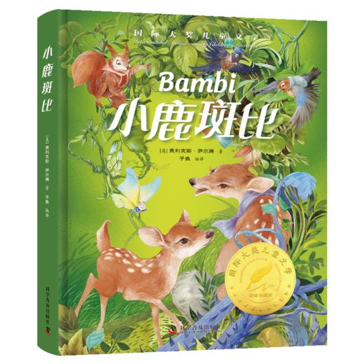 国际大奖经典名著系列（全10册） 商品图10