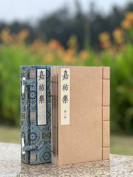 《宋本嘉祐集》（桑皮纸本），宋 苏洵著，大32开，4册+附册，据上海博物馆藏蜀刻本影印，华东师范大学2024年3月一版一印。定价2800，售价1398元。 商品图2