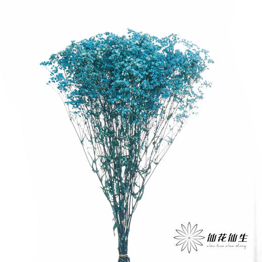 满天星 | 蓝色 商品图0