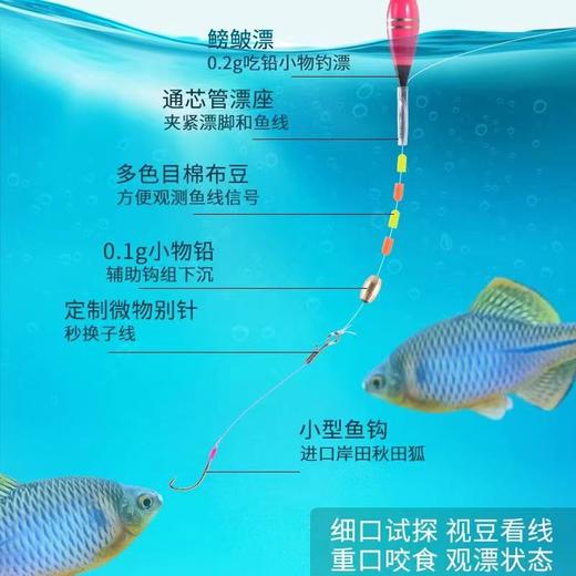【迷你小物竿！轻量化设计！下单即送钓鱼大礼包！】小鱼小物钓套装手工微物钓小鱼竿新手亲子溪流鳑鲏马口杆迷你小型-XHDY02 商品图2