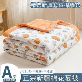 夏季空调被A类母婴级水洗棉夏被亲肤透气新疆棉花夏凉被空调被可水洗礼品被