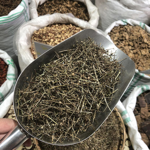 白花蛇舌草 净货切段 商品图3