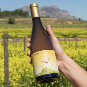 【酸橙果冻·西班牙奶油香干白】2021 卡妮仙踪酒庄依黛雅干白葡萄酒 Ca N'Estruc IDOIA Blanc