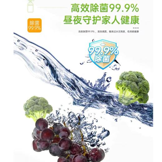 自营（菲小主）-爱舍儿青柠 生姜洗洁精大瓶特惠厨房清洁洗碗果蔬食品用 商品图2