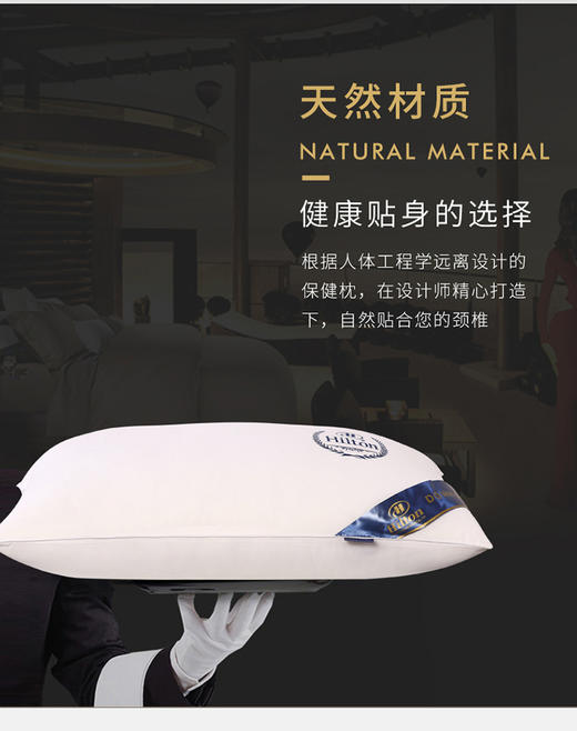 希尔顿酒店羽丝枕家用四季刺绣枕水洗立体滚边礼品枕舒适睡眠枕芯 商品图3